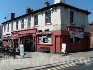 Picture of Chaplins