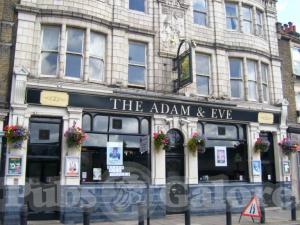 Picture of The Adam and Eve
