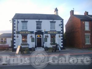 Picture of The White Bull
