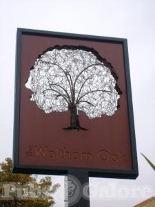 Picture of The Waltham Oak