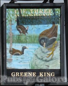Picture of Three Moorhens