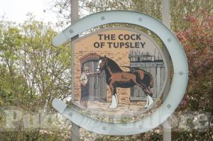 The Cock of Tupsley