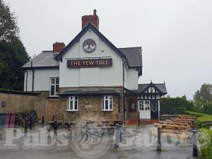 Picture of The Yew Tree