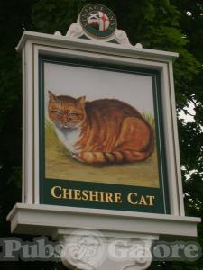 Picture of The Cheshire Cat