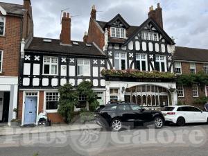 Picture of The Greyhound