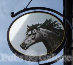 Picture of The Brown Horse