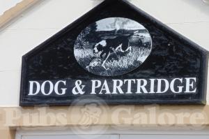 Picture of Dog And Partridge