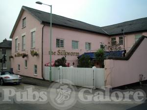 Picture of Silkworm