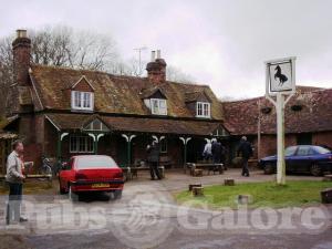 Picture of Black Horse