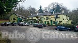 Picture of The New Forest Inn