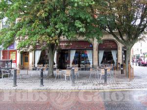 Picture of Baluga Bar