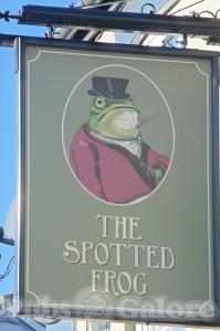 Picture of The Spotted Frog