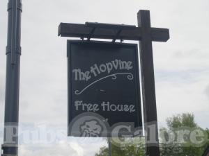 Picture of The Hop Vine