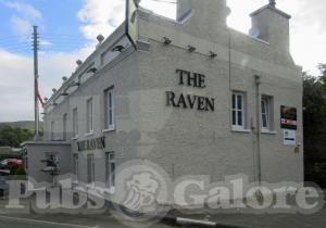 Picture of Raven