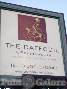 Picture of The Daffodil