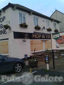 Picture of Hop and Vine