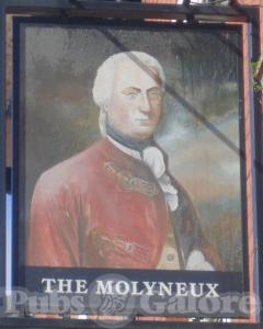 Picture of The Molyneux
