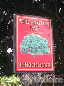 Picture of Wellington Oak