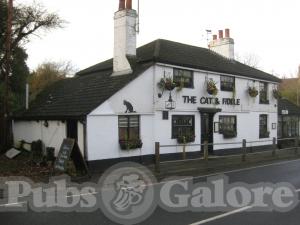 Picture of Cat & Fiddle