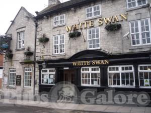 Picture of White Swan
