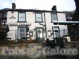 Picture of Thorn Tree Inn
