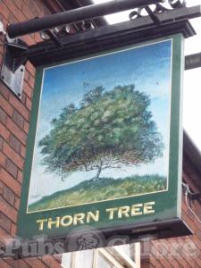 Picture of Thorn Tree