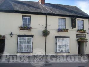 Picture of Dolphin Inn