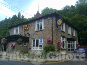 Picture of The Gower Inn