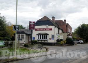Picture of Old White Hart