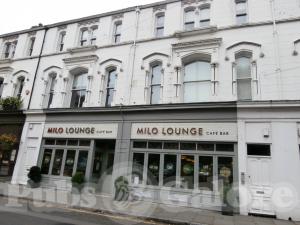 Picture of Milo Lounge