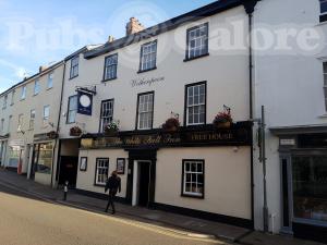 Picture of The White Ball Inn (JD Wetherspoon)