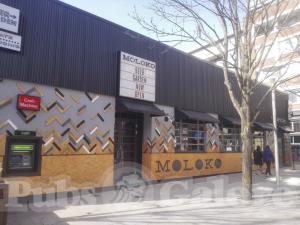 Picture of Moloko