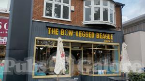 Picture of Bow- Legged Beagle