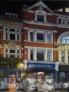 Picture of The Black Eel