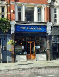 Picture of The Black Eel