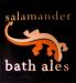 Picture of The Salamander