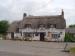 The Swan
