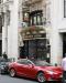 Picture of The Golden Lion