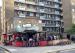 Picture of Lord Nelson