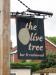 The Olive Tree picture