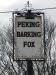 Picture of The Barking Fox