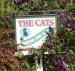 The Cats picture