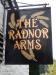 The Radnor Arms picture