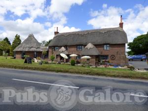 Picture of Drusillas Inn