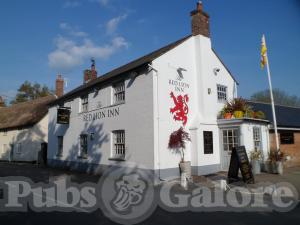 Picture of Red Lion