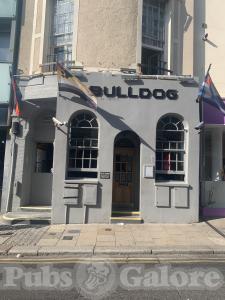 Picture of Bulldog