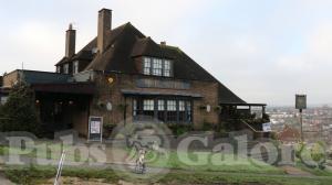 Picture of The New Oak