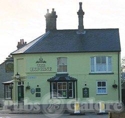 Picture of The Hopbine