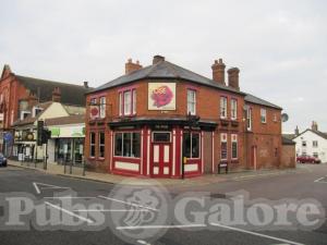 Picture of The Rose