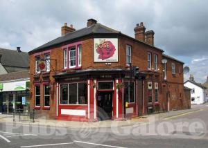 Picture of The Rose